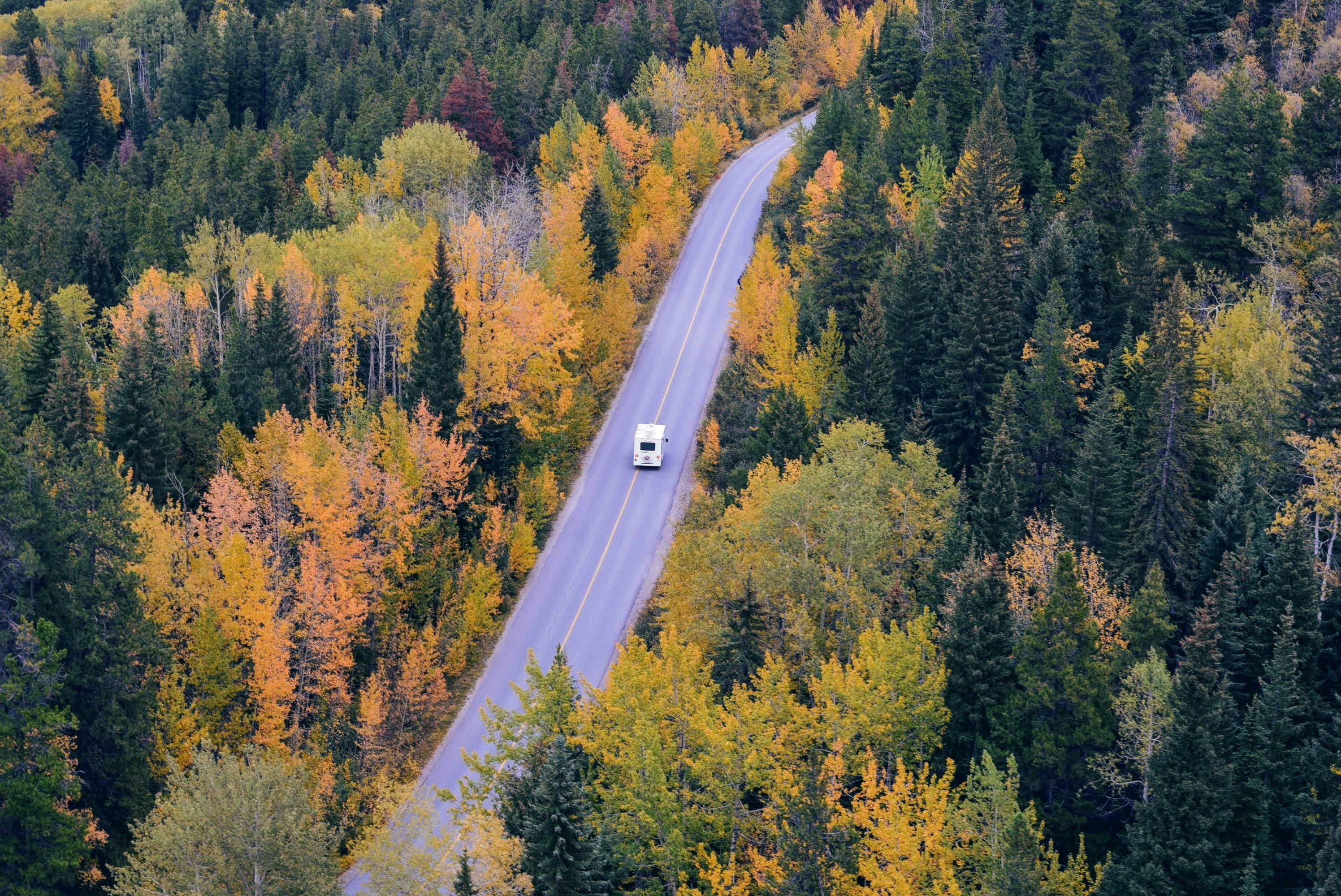 Nature with road image